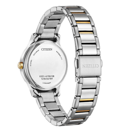 Ladies Two Tone Citizen Eco Drive Watch