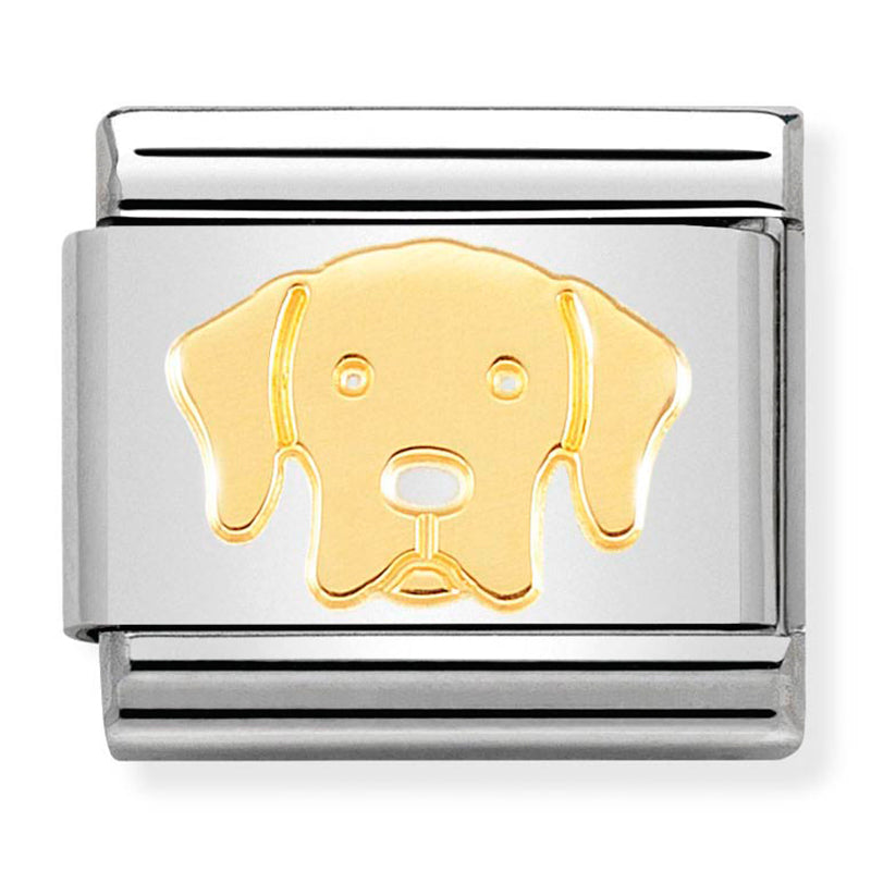 Nom-030162 57 Steel &18Ct Gold (Labrador)