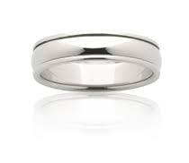 Titanium Polished Ring