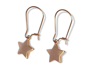 Steel Me Star Rose Gold Hook Earrings