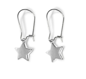 Steel Me Star Hook Earrings