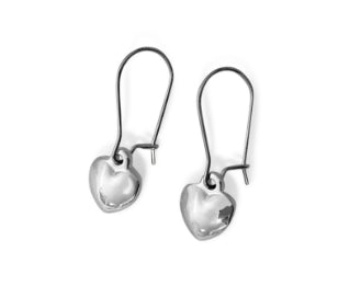 Steel Me Heart Silver Hook Earrings